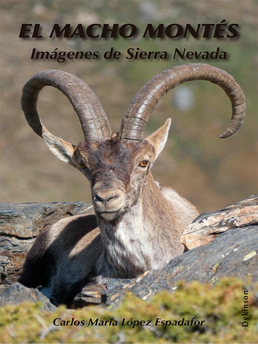 Title details for El macho montés by Carlos María López Espadafor - Available